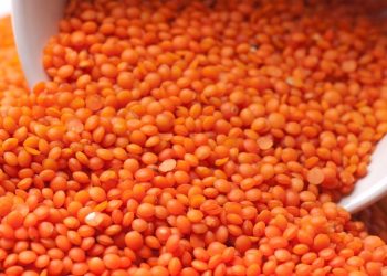 पूर्वीनाकाबाट मुसुरो दालको निर्यात बढ्दैंः तीनमहिनामा नौ करोडबढीको दाल निर्यात