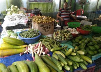 तरकारीमा परनिर्भरता : तीन महिनामा ५९ करोड रुपैयाँबढिको तरकारी आयात