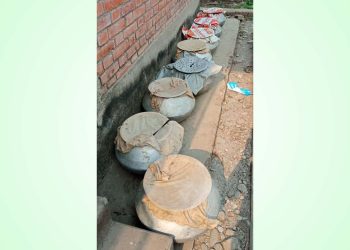 १२ हजार माछाका भूरा नष्ट