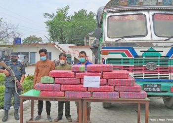 ट्रकमा लोड गरिएको एक क्वीन्टल गाँजासहित ३ जना पक्राउ