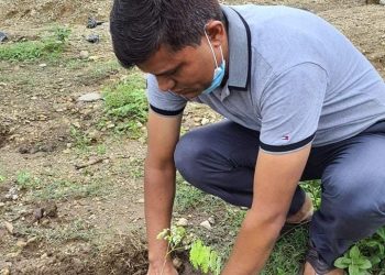 राष्ट्रिय युवासंघद्वारा वृक्षरोपण