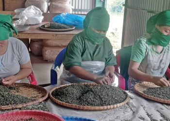 चियाका लागि किसानमैत्री परियोजना सुरु