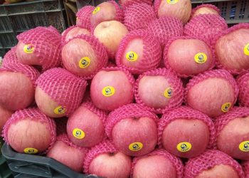 फलफुल आयातमा मात्र ३२ करोड ९७ लाख ७६ हजार रुपैयाँ बाहिरीयो