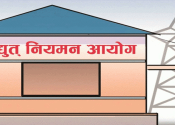विद्युत्को नयाँ महसुल सार्वजनिक