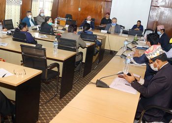 विवाह उमेर १८ वर्षमा झार्नुपर्ने प्रस्ताव, ‘लिभिङ टुगेदर’लाई कानुनी दायरामा ल्याउन माग