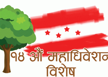 प्रदेश सभा क्षेत्रमा निर्वाचन आज