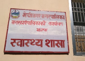 मेचीनगरमा देखिएको डेंगु संक्रमण नियन्त्रणमा : सरसफाईमा ध्यान दिन नगरवासीमा आग्रह
