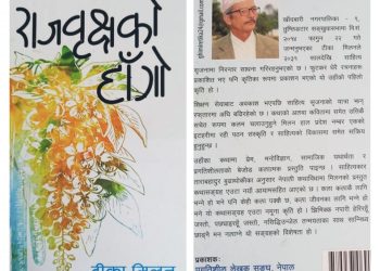 पुस्तक समीक्षा “राजवृक्षको हाँगो वरिपरि घुम्दा” : ध्रुव शर्मा