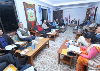घोषणा पत्र अनुमोदन, चुनाव सार्न खोजे प्रतिवाद गर्ने एमालेको निर्णय