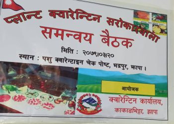 नेपाली भान्सामा आयातित तरकारी : एघार महिनामा काँकरभिट्टा नाकाबाट १४ करोड रुपैयाँ भन्दाबढीका हरियो ताजा तरकारी आयात