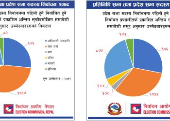 प्रत्यक्ष निर्वाचन प्रणाली तर्फ खस आर्य समूहको बाहुल्यता