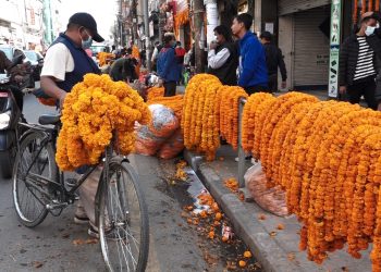 तिहारमा भारतबाट आयात हुने सयपत्री फूलमा सरकारले प्रतिबन्ध लगायाे