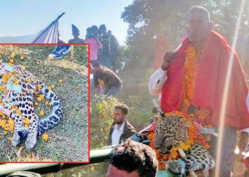 मरेको चितुवामा धामी जाग्दा…
