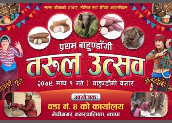 बाहुण्डाँगीमा माघ १ गते तरुल उत्सव हुने