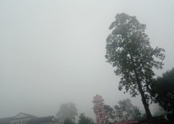 जाडो बढ्यो