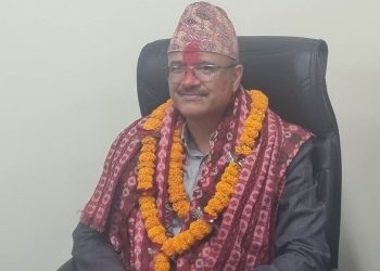 न्याम्सको निमित्त उपकूलपतिमा डा. भुपेन्द्र बस्नेत नियुक्त