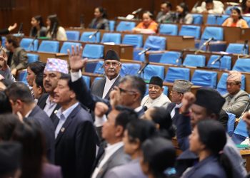 एमालेको अवरोधपछि प्रतिनिधिसभा बैठक २० मिनेटका लागि स्थगित