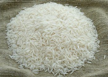 भारत सरकारद्वारा चामल निर्यातमा प्रतिबन्ध