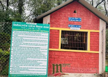 फोटो : नेहा रेग्मी