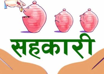 सहकारीकर्मीहरु भन्छन् ‘अध्यादेशको न स्वागत गर्न सकिन्छ न समर्थन ’ : केही बुँदा सच्च्याउन उनीहरुको आग्रह