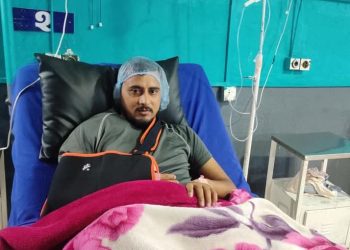पछिल्लो समय सामुदायिक कुकुर सवारी दुर्घटनाको मुख्यः कारण बन्दै