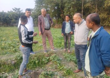 आलु खेती प्रवर्द्धनमा सक्रिय मेचीनगर