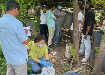 काँकरभिट्टामा सुँगुरको महामारी: अफ्रिकन स्वाइन फिभरको आशंका, किसान आर्थिक संकटमा