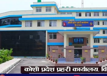 अवैध हतियार प्रयोग ठूलो समस्या : झापामा तीनवर्षमा सातथान बरामद