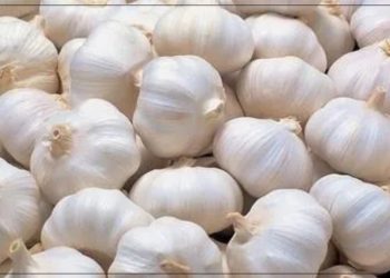 लसुन आयात दुईसय २५ प्रतिशतले बृद्धि