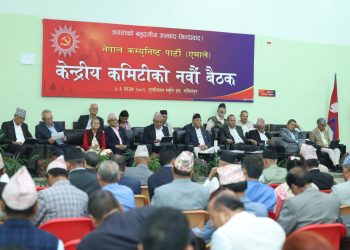 एमालेमा विद्यालाई ‘नो इन्ट्री’