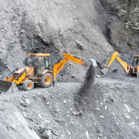हिमपातले बेपत्ता चौरीसहित ३०७ पशुको उद्धार