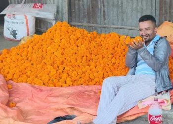 मेचीनगरमा सयपत्री फूलबारीमा काम गर्दै गरेका दिपेश तिवारी