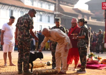 हनुमानढोकास्थित दसैंघरको दृश्य