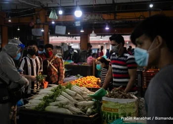 कालीमाटी फलफूल तथा तरकारी बजारमा बिक्रीका लागि राखिएका हरिया तरकारीहरू