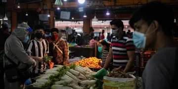 कालीमाटी फलफूल तथा तरकारी बजारमा बिक्रीका लागि राखिएका हरिया तरकारीहरू